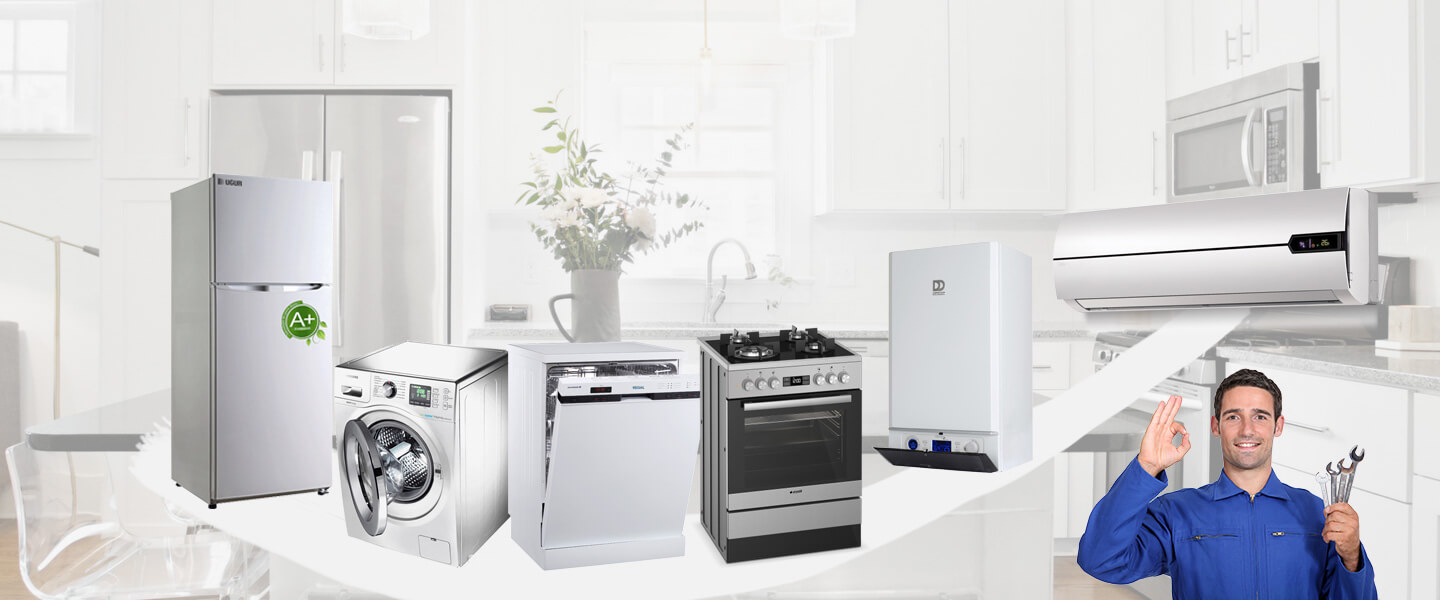 Çamlık Electrolux Servisi